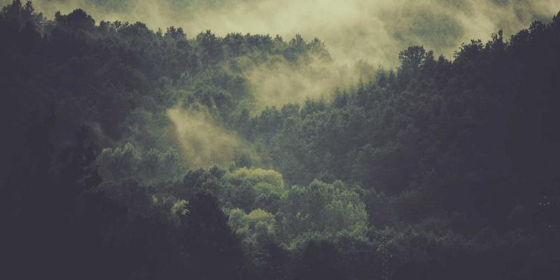 郑州中年女性体能重塑指南：兼顾亲子与健康的本地私教课程与普拉提工作室推荐