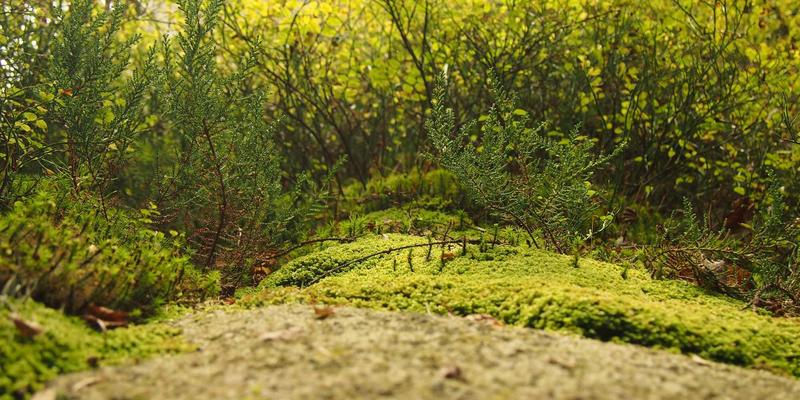 郑州传统文化体验：女性专属的茶道、香道与刺绣工作坊，开启美容健康亲子时光