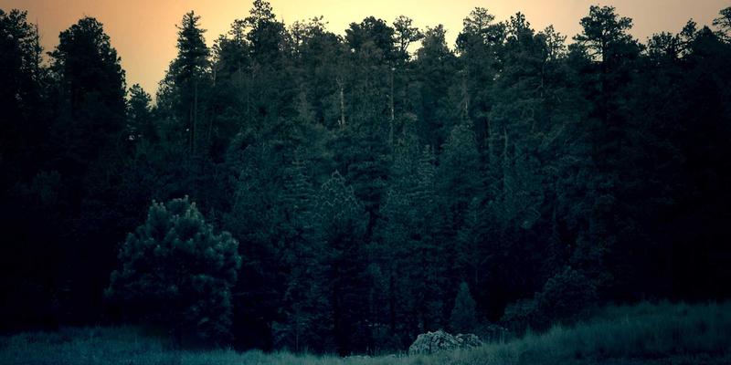 郑州女士100：在亲子、美容与健康的平衡中，绽放都市女性的多维魅力