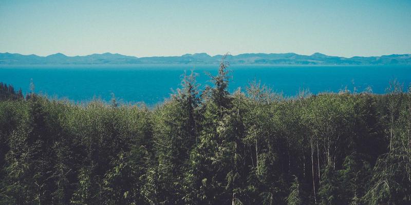 郑州女士17：探索郑州门户中的时尚脉搏与精致生活资讯