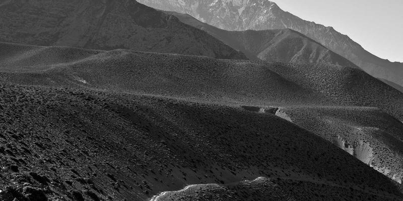 郑州女士37：在本地服务与生活资讯中绽放的智慧生活