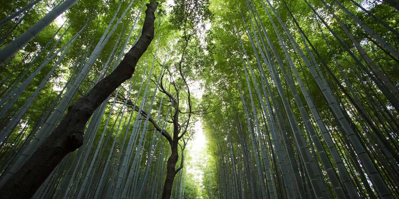 郑州女士41：时尚与生活的交响，在绿城绽放从容与优雅