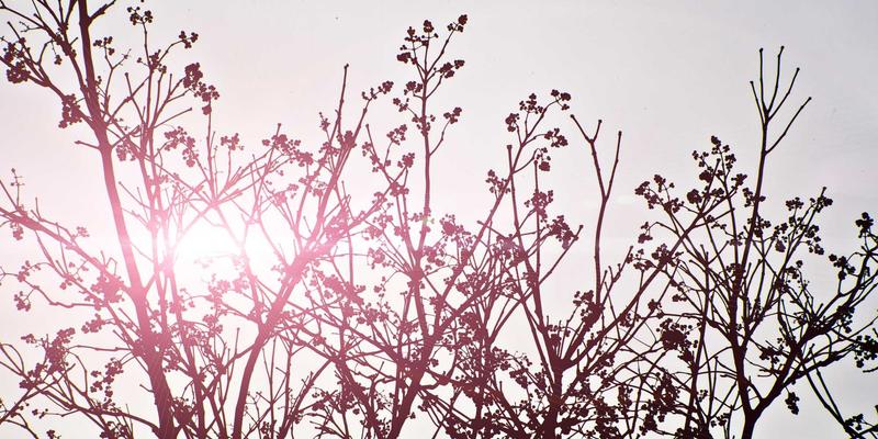 郑州女士46：在岁月沉淀中绽放的时尚美学与生活智慧