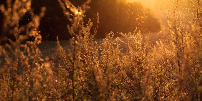 郑州女士59：聚焦本地服务，开启精致女性生活与美容新篇章