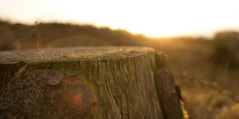 郑州女士发展图鉴：在本地服务、亲子与自我成长中绽放的城市新女性