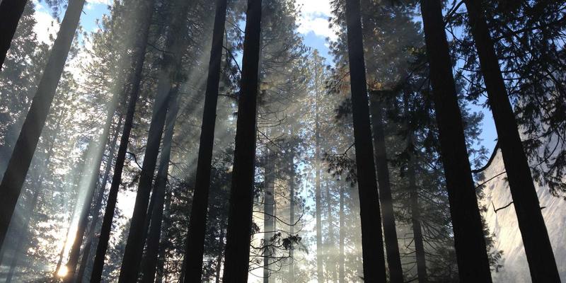 郑州女士时尚美容全攻略：从本地门户发现专属美丽指南