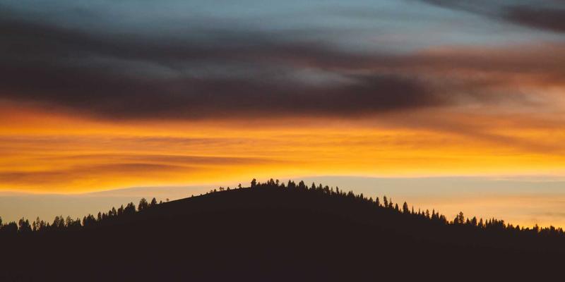 郑州女士的精致生活指南：时尚穿搭与生活资讯全攻略