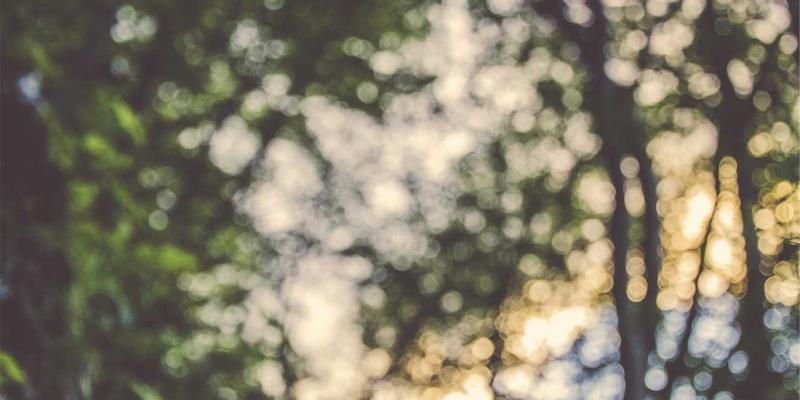 郑州女性专属心理指南：时尚生活与本地专业支持资源全解析