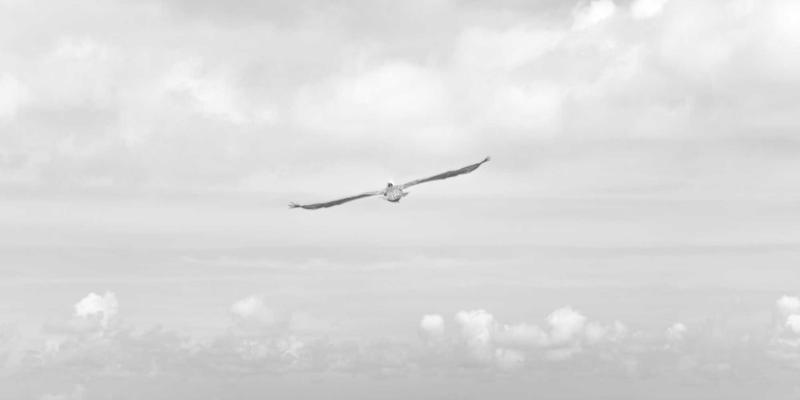 郑州女性公益新路径：从健康美容到社区影响力投资