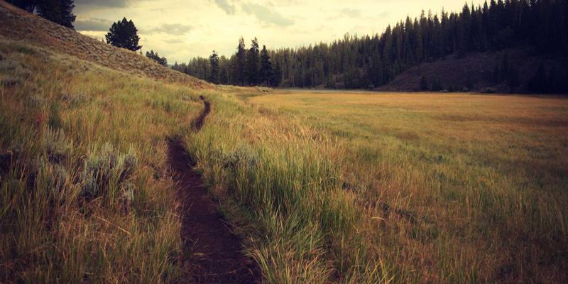 郑州女性创业故事：从0到1打造本土健康时尚品牌的心路历程