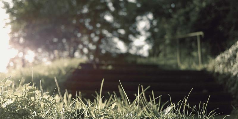 郑州女性压力管理指南：本地正念冥想课程与心理咨询资源推荐