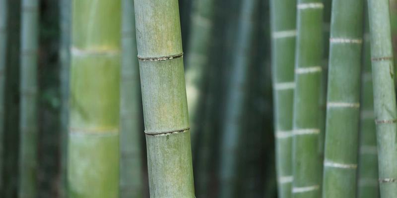 郑州女性生活资讯：婚前购房、共同还贷与财产保障的时尚智慧