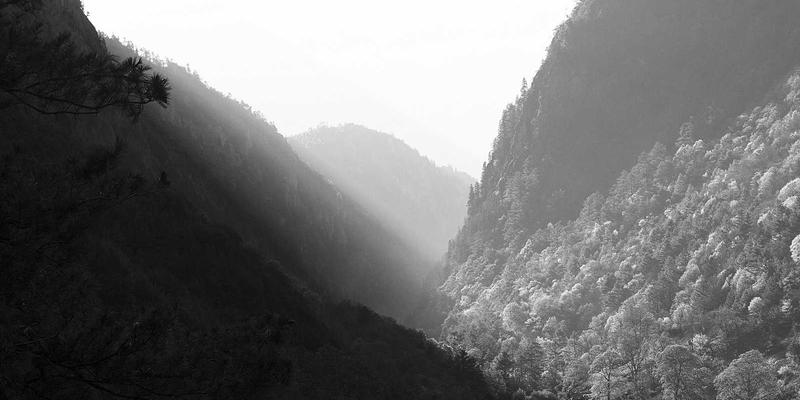 郑州女性艺术修养提升指南：从美术馆巡礼到油画收藏的时尚美学之旅