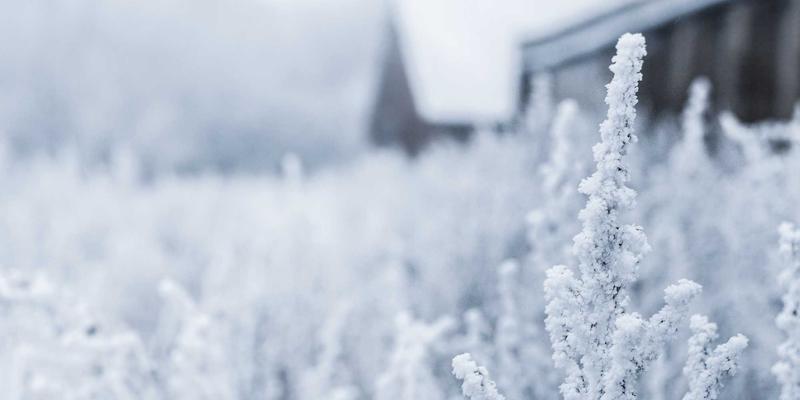 郑州女性茶文化沙龙体验：探寻城市中的静谧茶空间与社交圈层