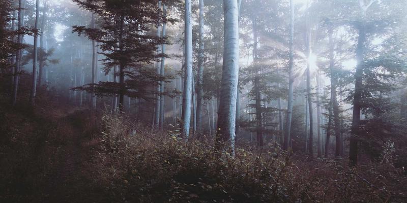 郑州女性购房指南：兼顾学区、交通与保值的理想社区如何选