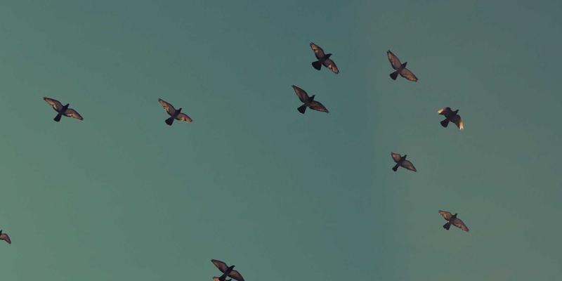 郑州更年期女性健康管理指南：本地医院专科门诊与中医调理机构全方位对比