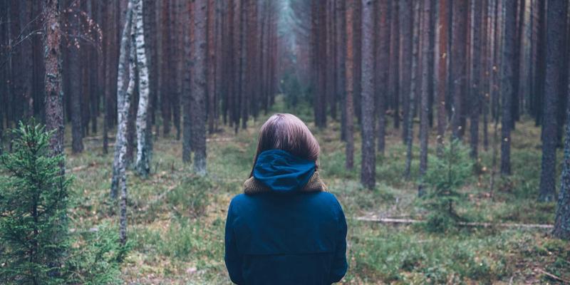 郑州高知女性择偶观解析：本地婚恋市场现状与实用指南