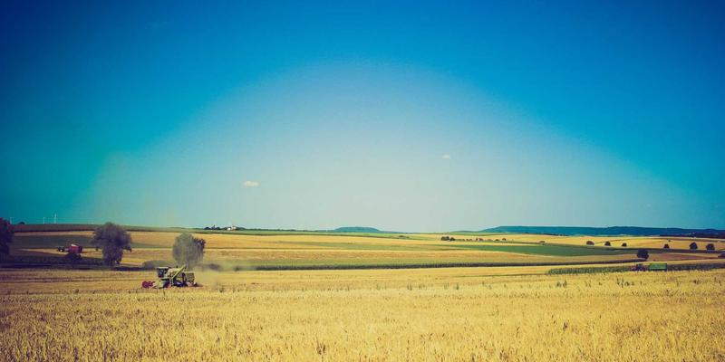 郑州高知女性社群参与指南：解锁美容、健康与成长的精致生活圈